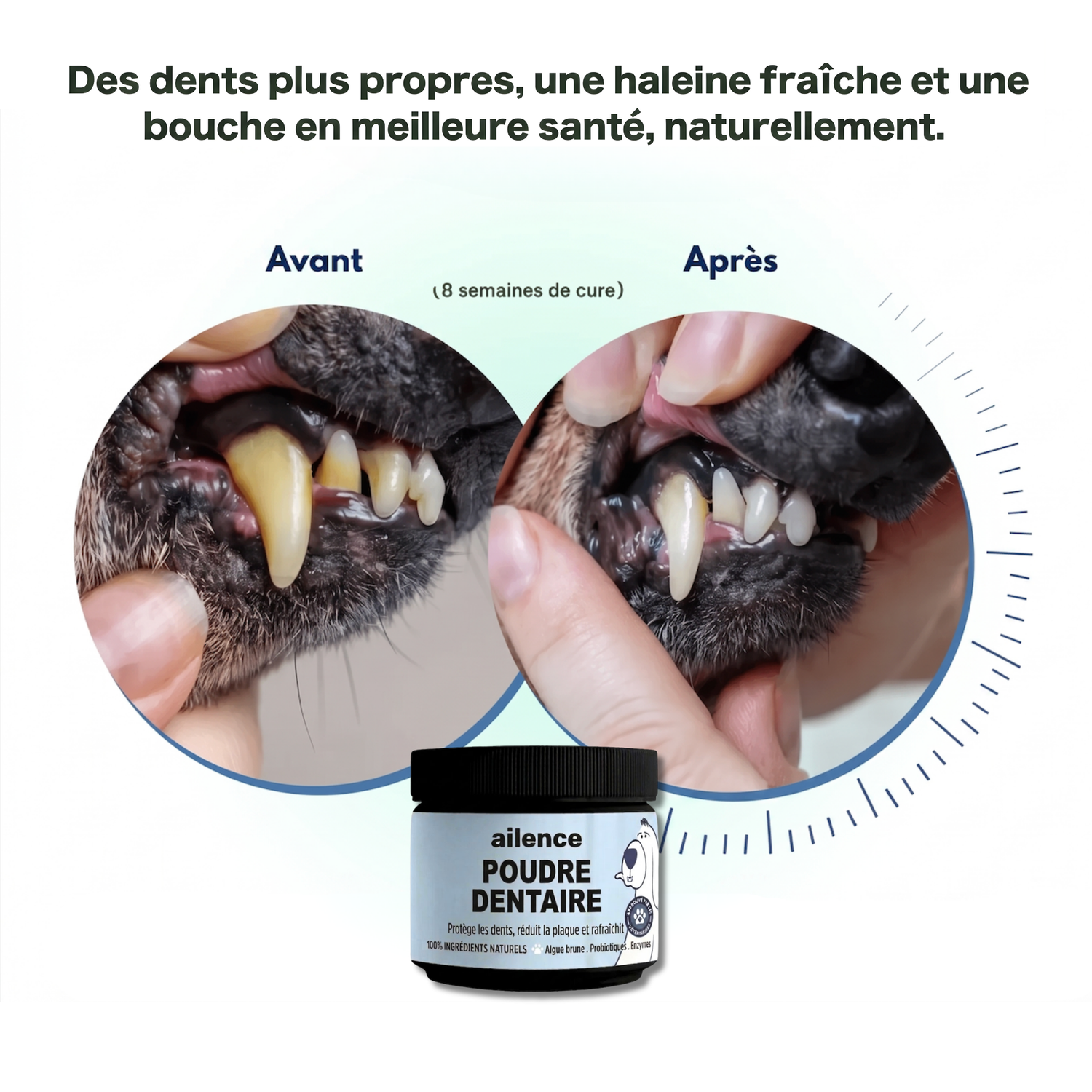 Santé Dentaire - Ailence