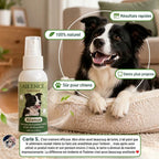 Spray Dentaire Ailence - Élimine les bactéries qui causent le tartre et la mauvaise haleine chez les chiens.