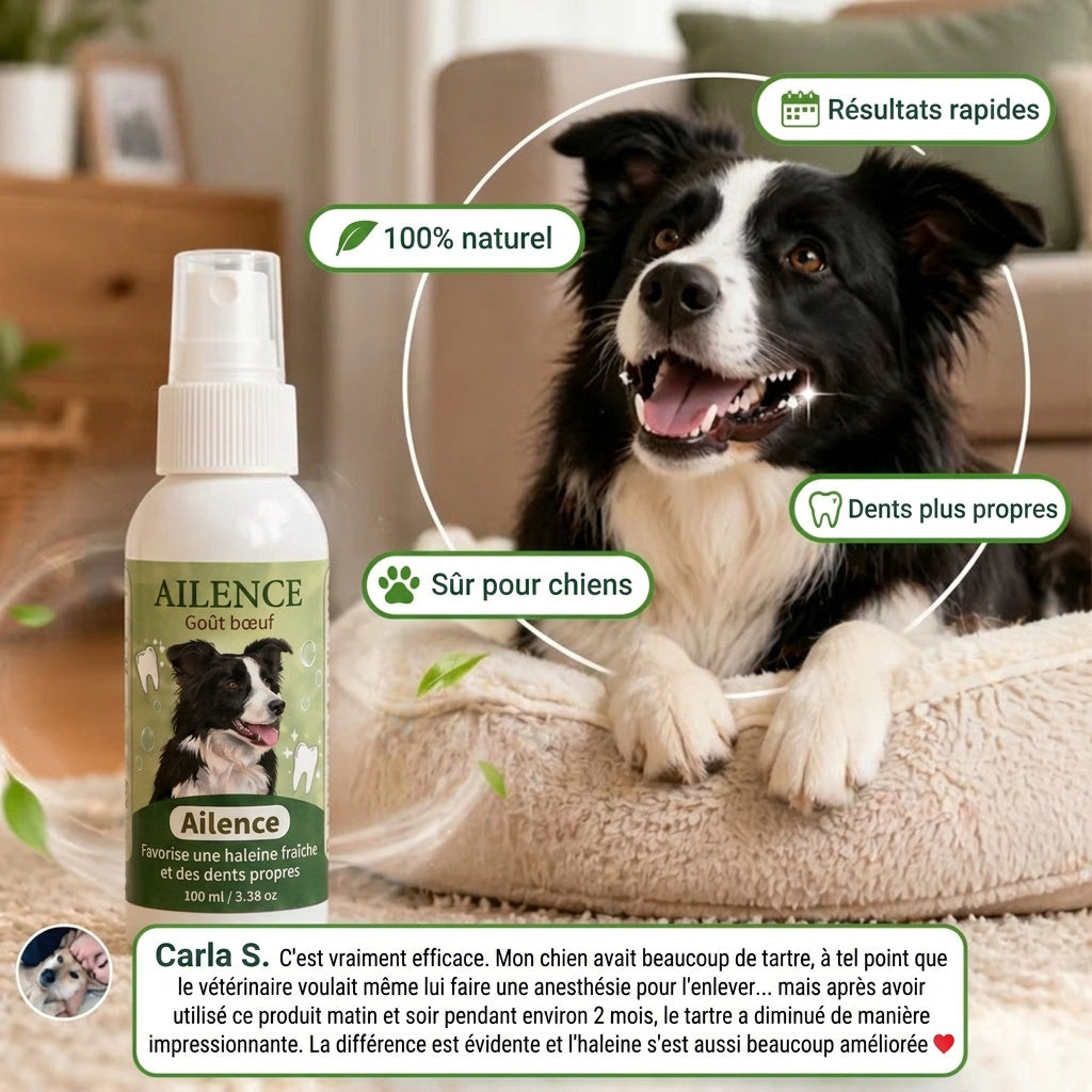 Spray Dentaire Ailence - Élimine les bactéries qui causent le tartre et la mauvaise haleine chez les chiens.