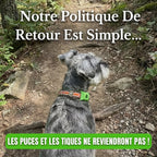 protegez votre chien naturellement contre les tiques les phlebotomes et les puces protection de 12 mois