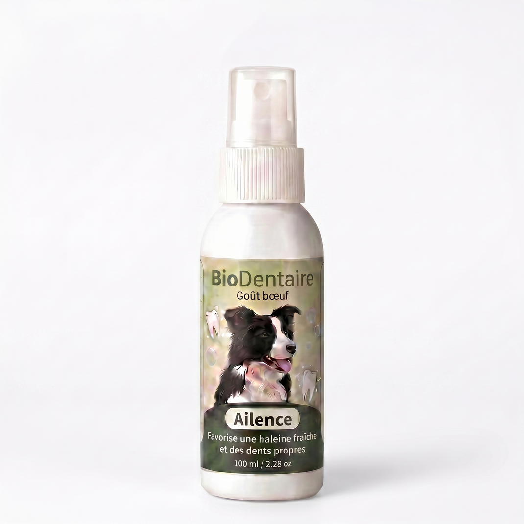 Spray Dentaire Ailence - Élimine les bactéries qui causent le tartre et la mauvaise haleine chez les chiens.