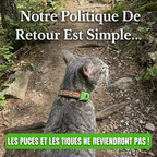 Protegez votre chat naturellement contre les tiques les phlebotomes et les puces protection de 12 mois