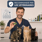 Protegez votre chat naturellement contre les tiques les phlebotomes et les puces protection de 12 mois